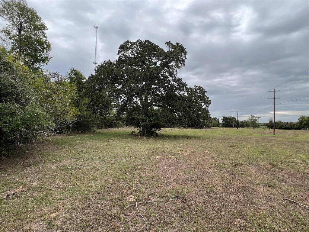 Iola, TX 77861,Lot 9 County Road 166