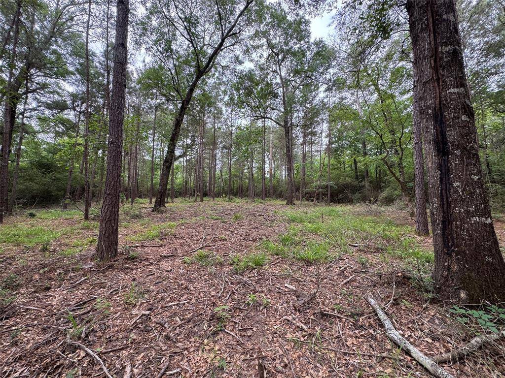 Huntsville, TX 77340,117 Hereford TRL