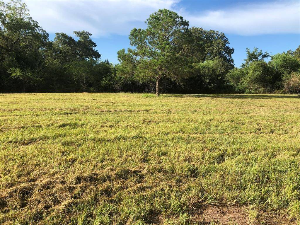 Hallettsville, TX 77964,Lot 11 CR 167