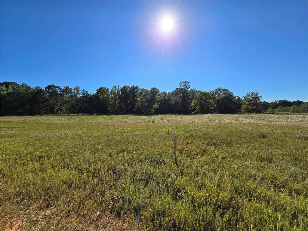 Hillister, TX 77624,Lot 131 Green Valley TRL