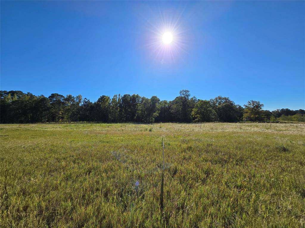 Hillister, TX 77624,Lot 131 Green Valley TRL