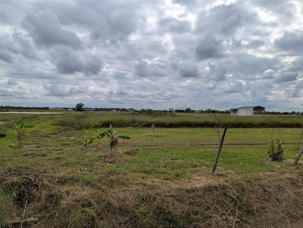 Rosharon, TX 77583,Lot 8 County Road 382