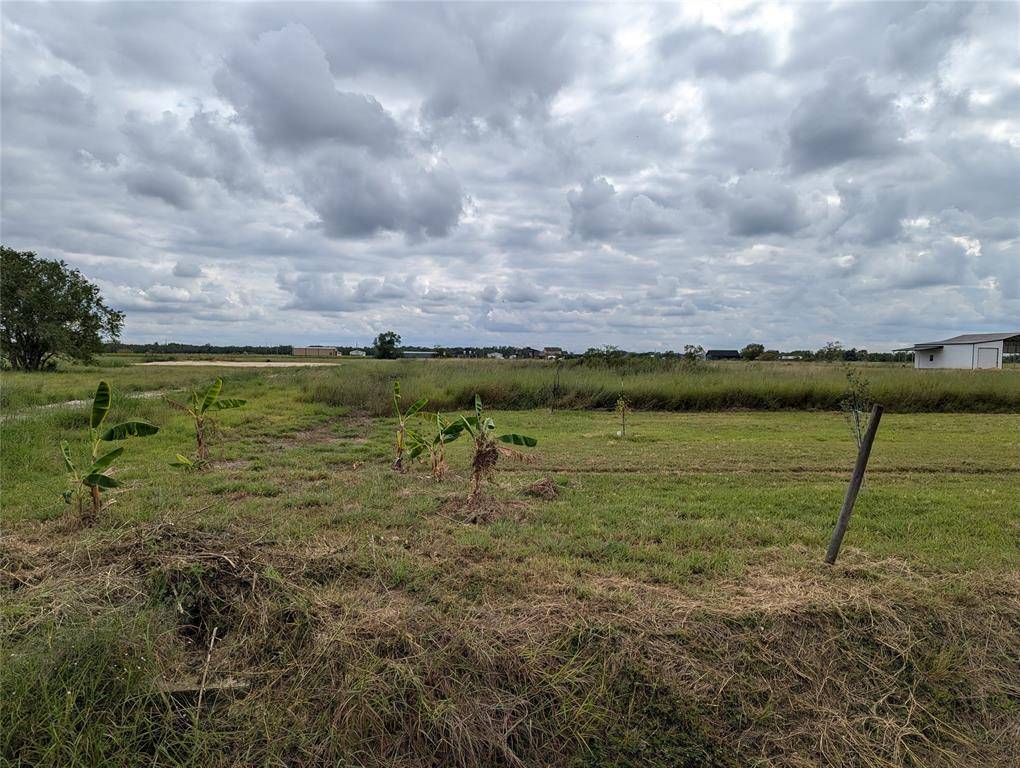 Rosharon, TX 77583,Lot 8 County Road 382