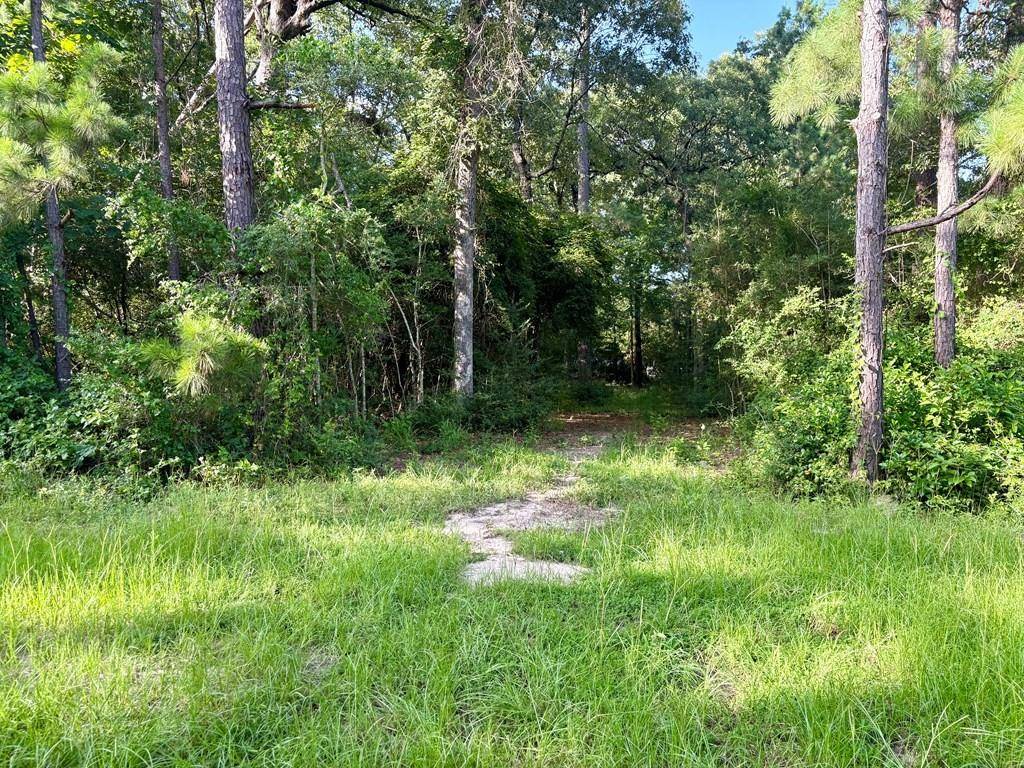 Huntington, TX 75949,139 Oak Ridge Street