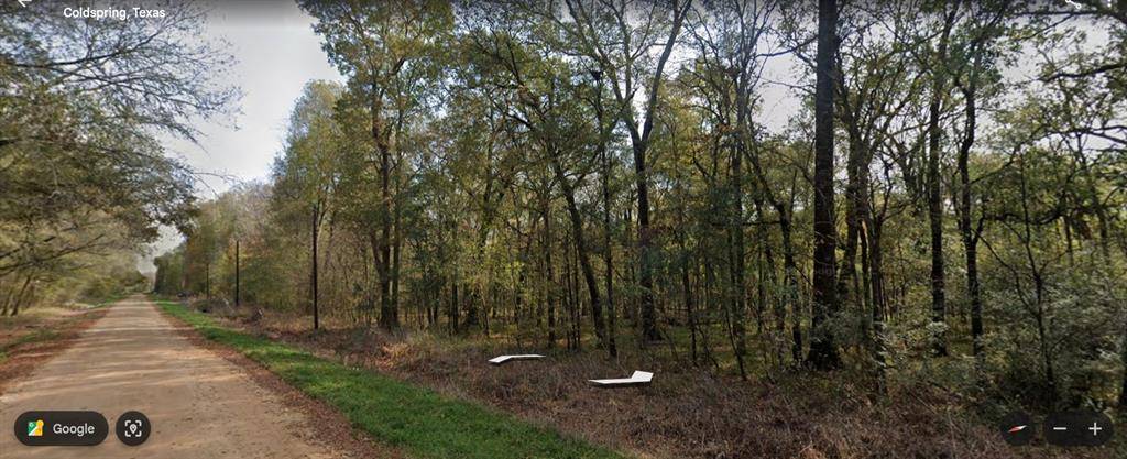 Coldspring, TX 77331,TBD Neumann ST