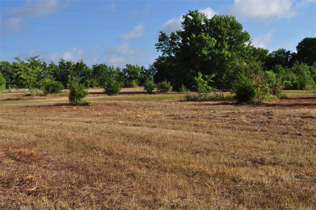 Brenham, TX 77833,00000 Grebe Road