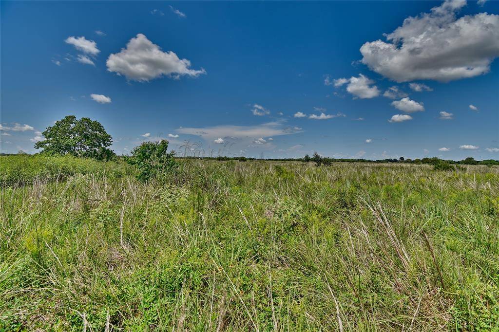 Rock Island, TX 77470,TBD Tract 1 County Road 106