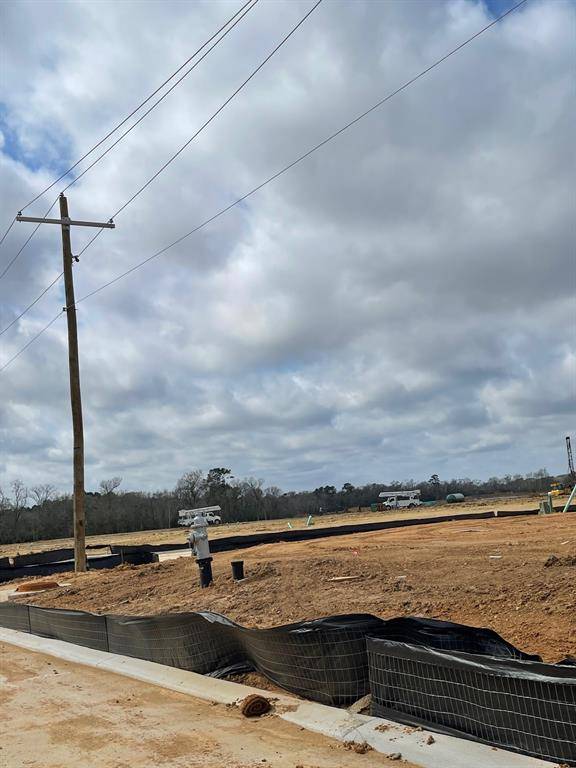 Willis, TX 77318,12019 Curlin DR