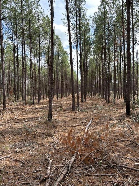 Huntington, TX 75949,TRACT 4 LLOYD WALKER RD
