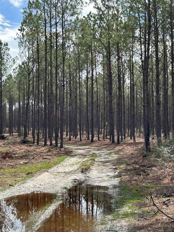 Huntington, TX 75949,TRACT 4 LLOYD WALKER RD
