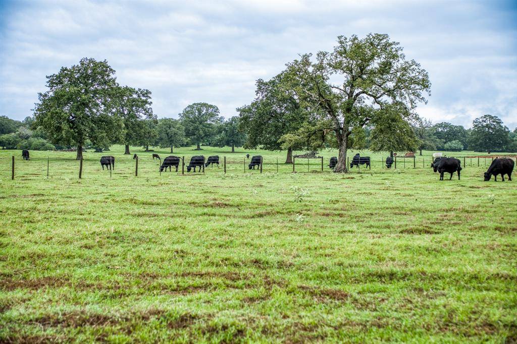 Dime Box, TX 77853,2023 County Road 402