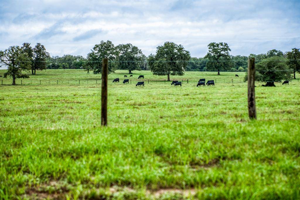 Dime Box, TX 77853,2023 County Road 402