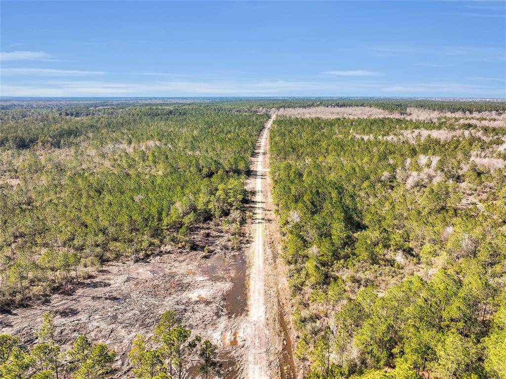 Sour Lake, TX 77659,0000 Hwy 105