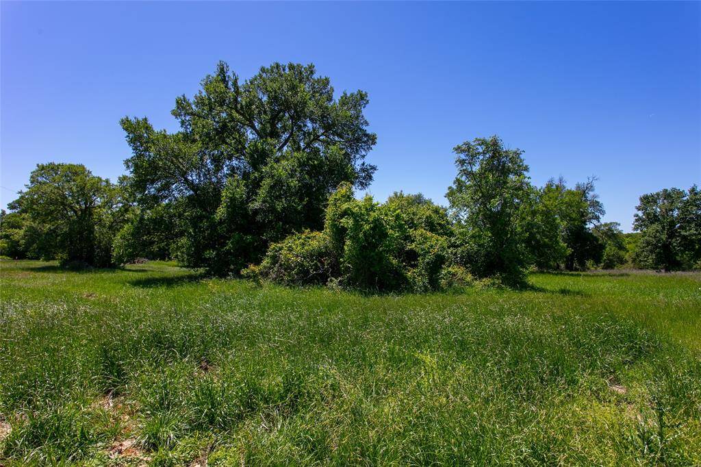 Caldwell, TX 77836,Lot 2B Brazos CT