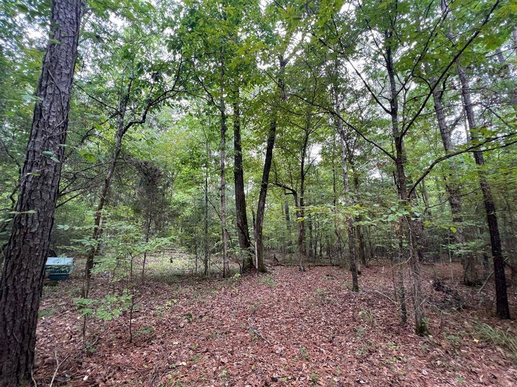 Coldspring, TX 77331,0 Sellers RD