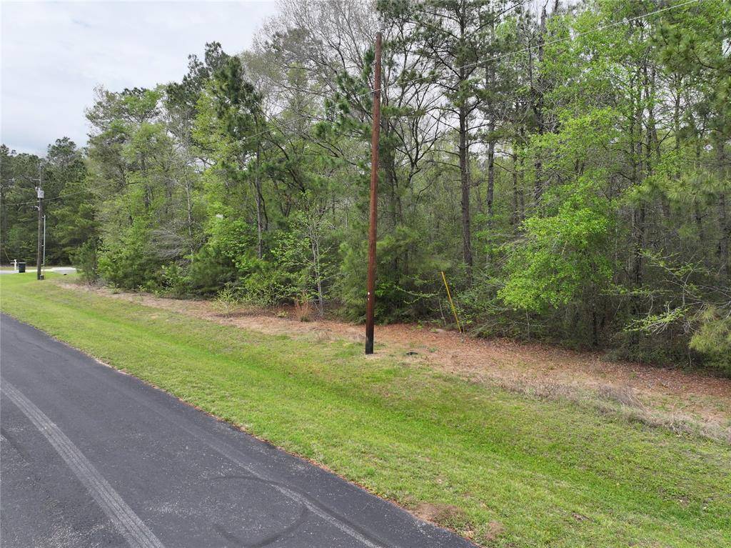 Waller, TX 77484,8707 Trotter Lane