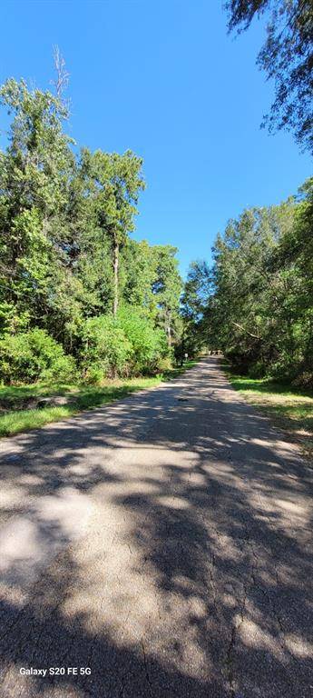 Spring, TX 77386,29103 S PLUM CREEK DRIVE