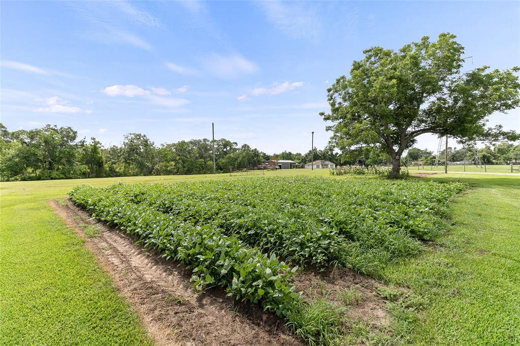 Clute, TX 77531,500 E Main St