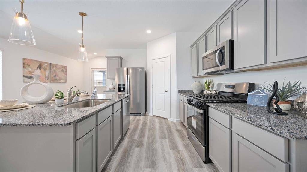 Alvin, TX 77511,1739 White Carp LN