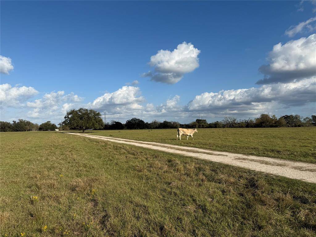 West Columbia, TX 77486,31619 Highway 36