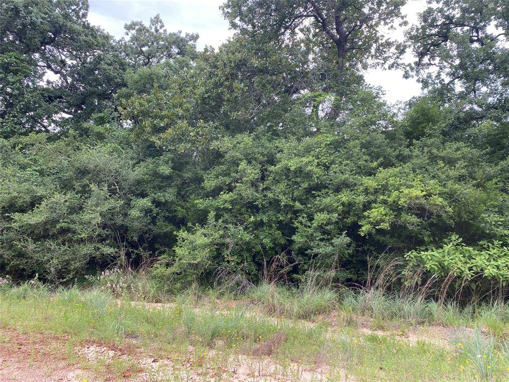 Normangee, TX 77871,000 Mockingbird