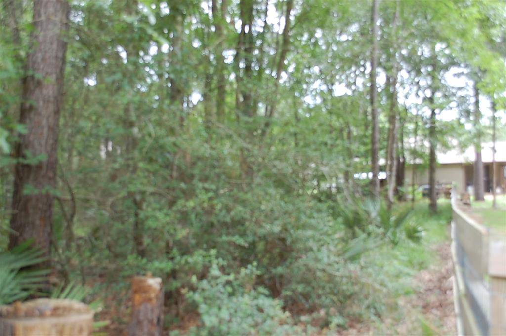 Huntsville, TX 77340,25 Firewood RD