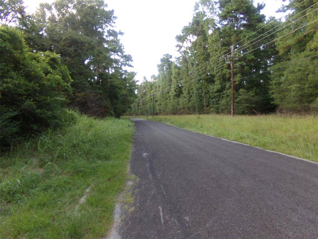 Livingston, TX 77351,000 Forest Hills LOOP S