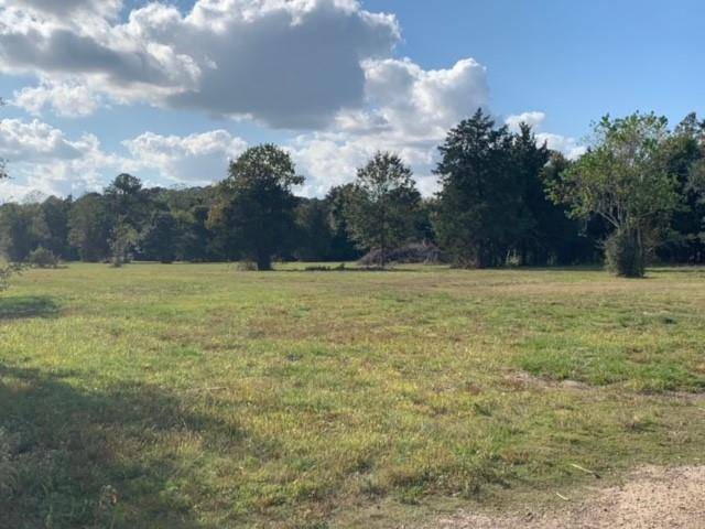 Alvin, TX 77511,2703 Hackberry Run Lot 44