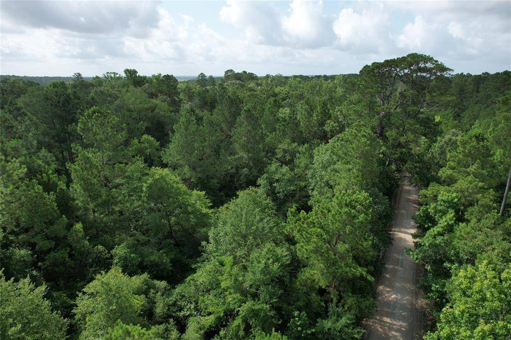 Crockett, TX 75835,0000 CR 4020