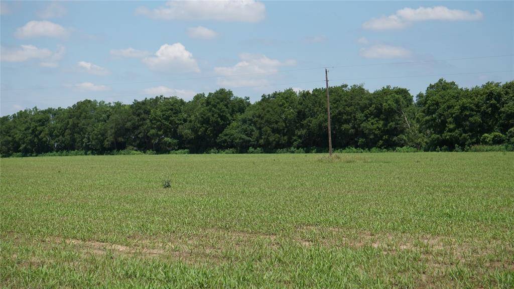 Caldwell, TX 77836,5083 CR 377