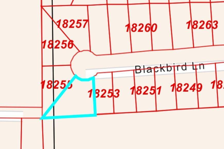 Hempstead, TX 77445,LOT 10 Blackbird Lane