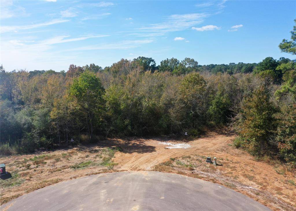 Montgomery, TX 77356,25010 Chapel Bend Court