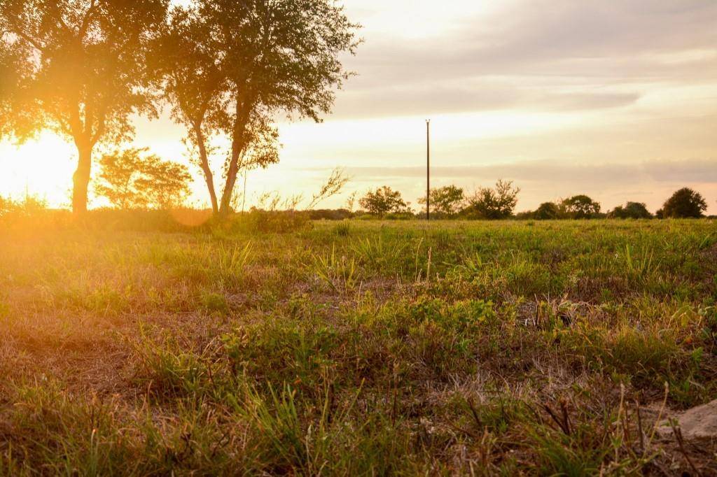 Washington, TX 77880,TBD Lone Star