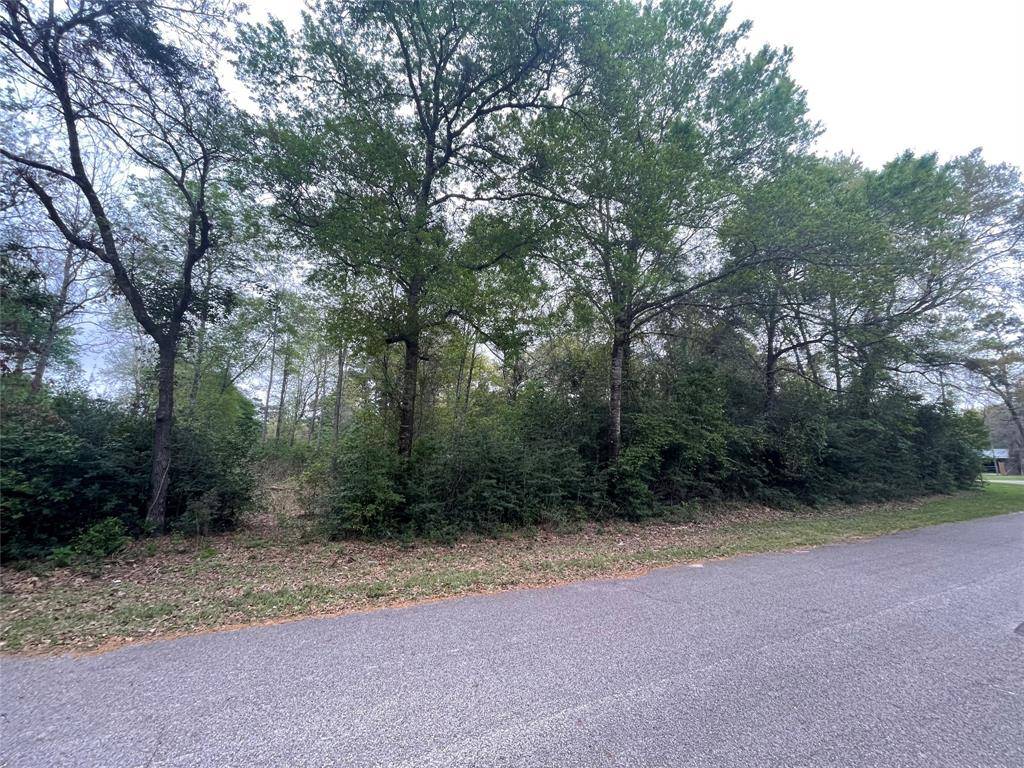 Magnolia, TX 77355,TBD Seahorse Ln