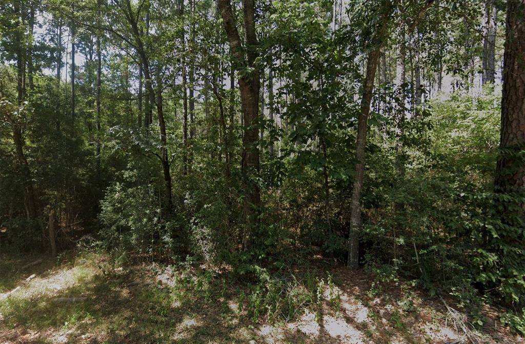 Montgomery, TX 77356,LOT 16 HIDDEN FOREST EST 04