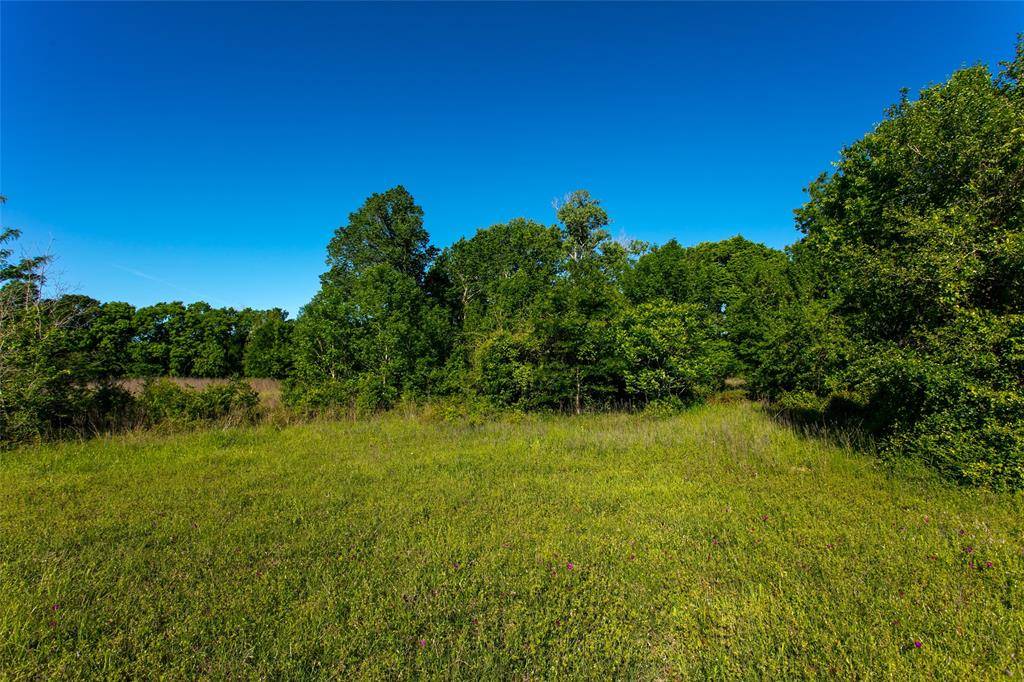 Caldwell, TX 77836,Lot 7A Brazos Court