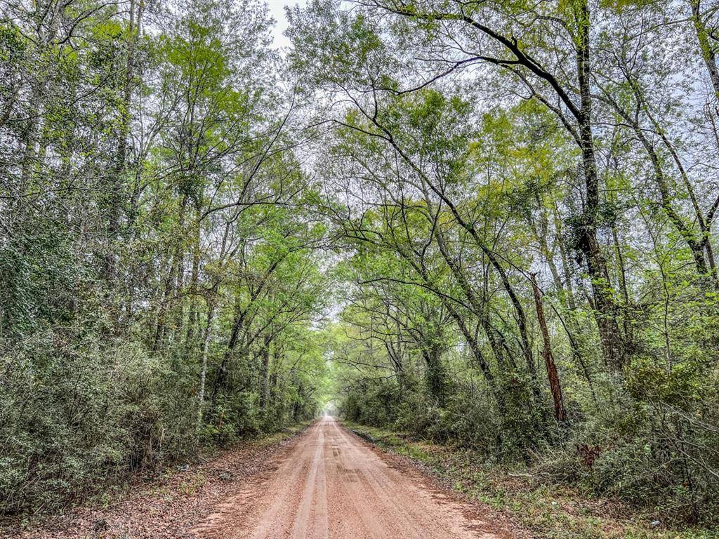 Kountze, TX 77625,00000 Bragg Road