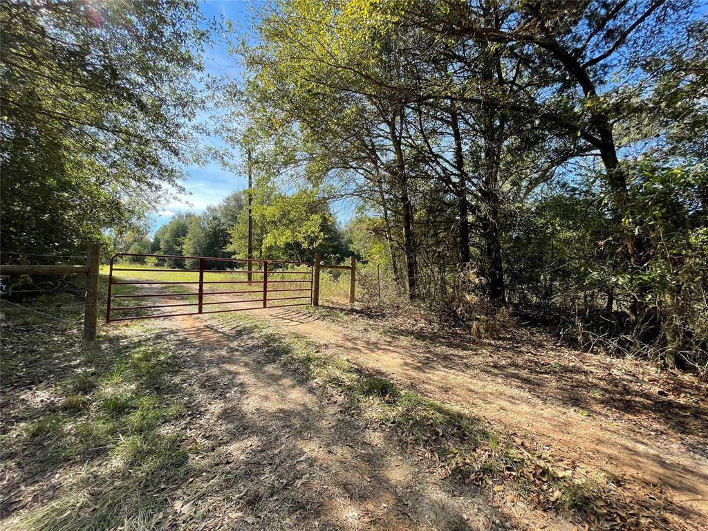 Fairfield, TX 75840,TBD Tract 2 FCR 251