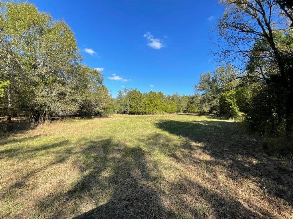 Fairfield, TX 75840,TBD Tract 2 FCR 251