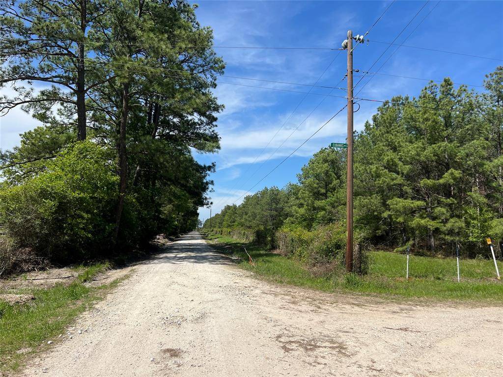 Bedias, TX 77831,Tract 3 English RD