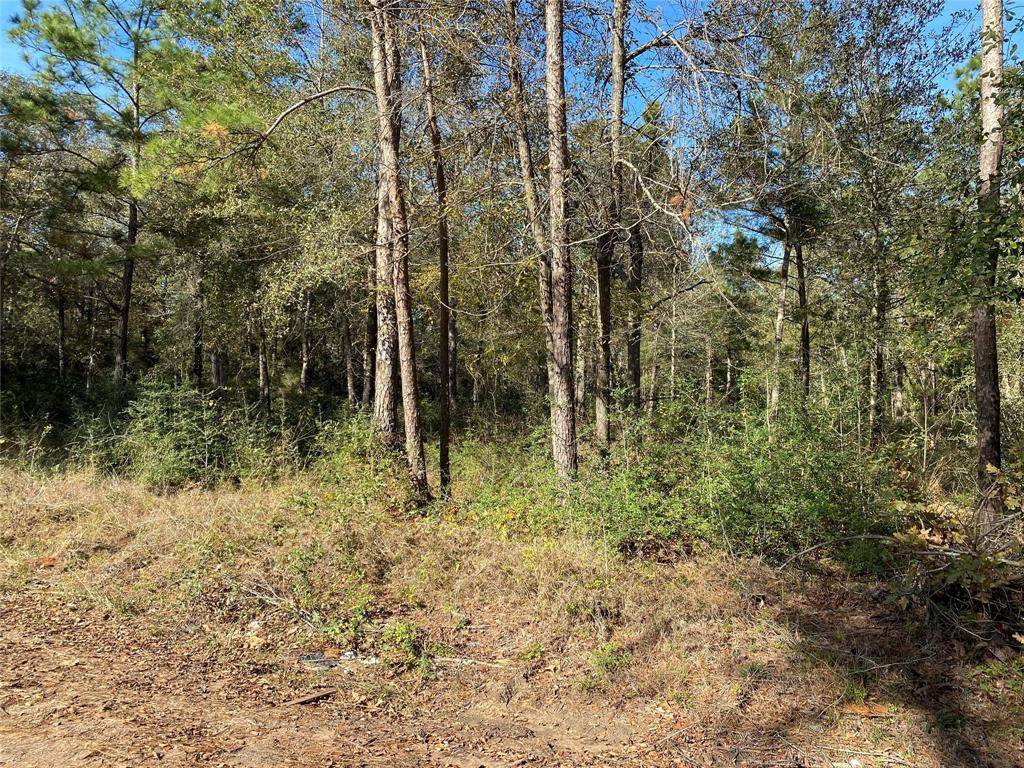 Plantersville, TX 77363,Lot 28 Greenway DR