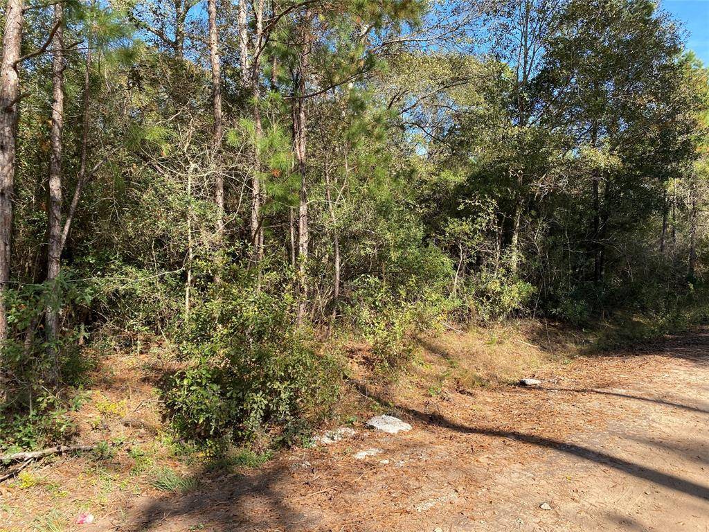 Plantersville, TX 77363,Lot 28 Greenway DR