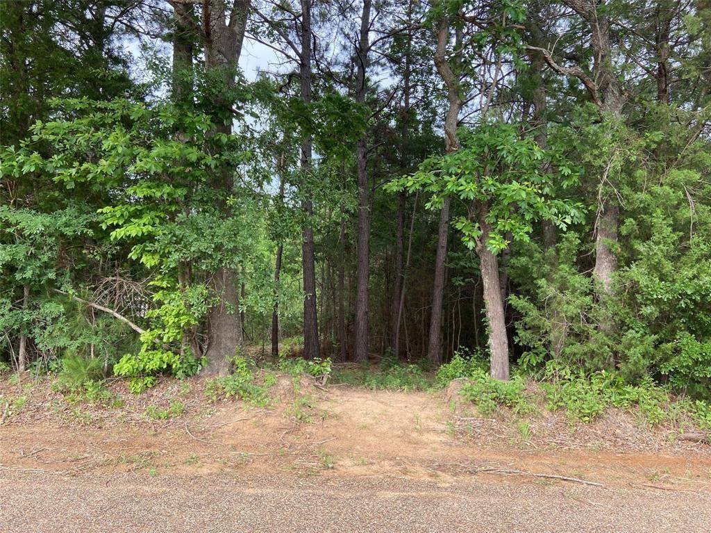 Frankston, TX 75763,LOT 1 CR 4224