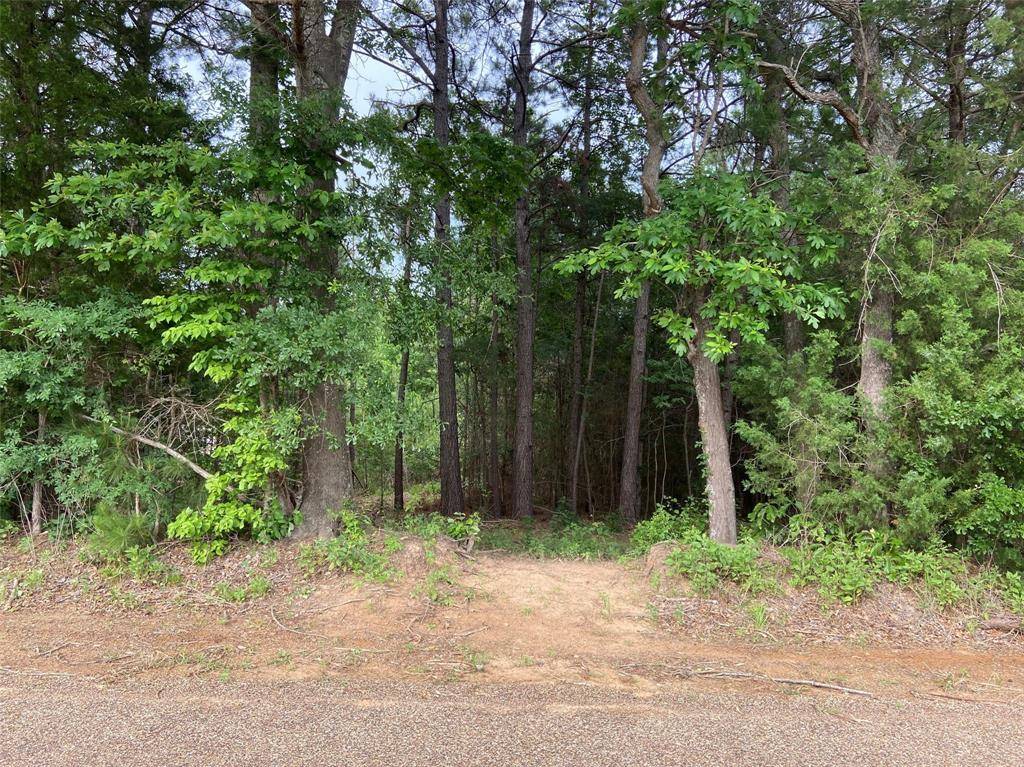 Frankston, TX 75763,LOT 1 CR 4224