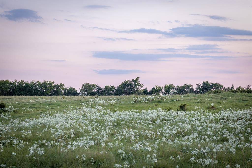 Carmine, TX 78932,Lot 2A Vineyard View TRL