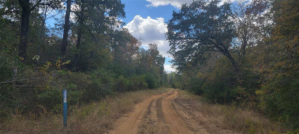 Leona, TX 75850,22.37AC. Pr 1100 RD