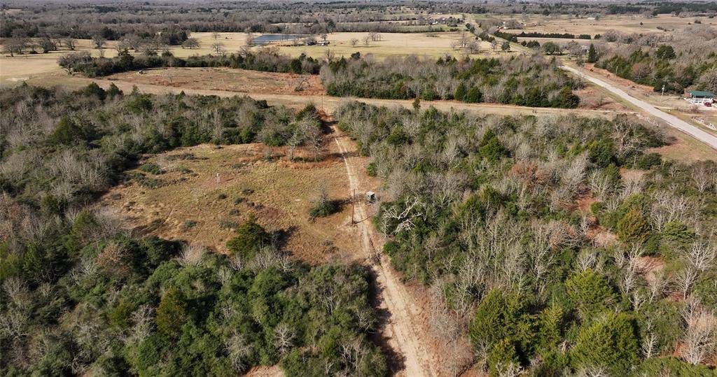 Buffalo, TX 75831,TBD County Road 277
