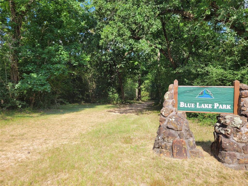 Magnolia, TX 77354,6602 W Bluff DR
