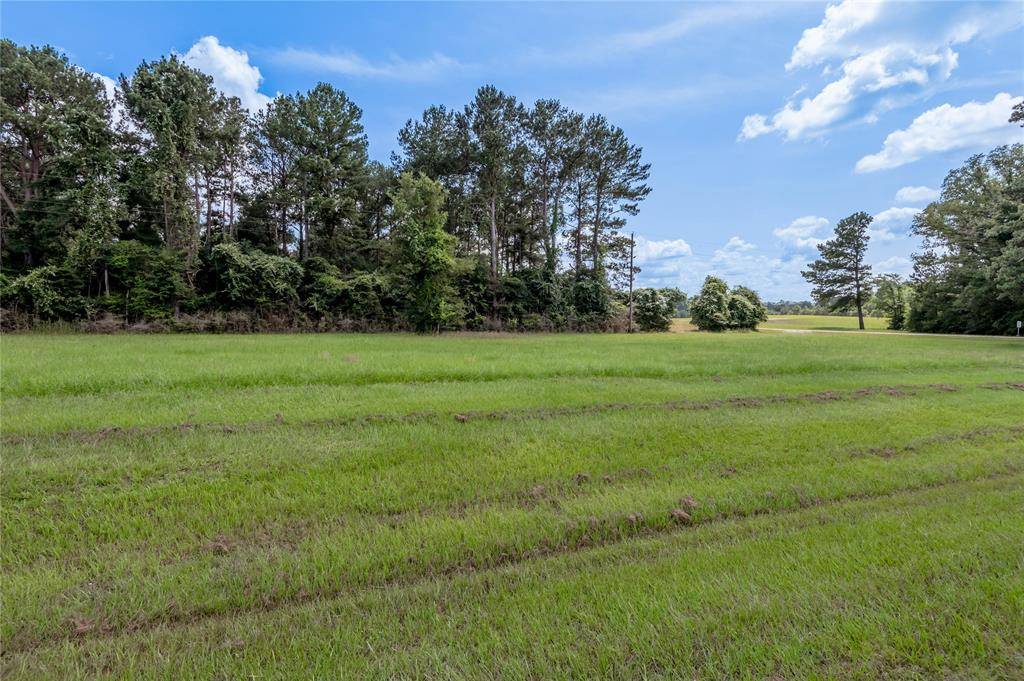 Trinity, TX 75862,Lot 8 Jamestown RD