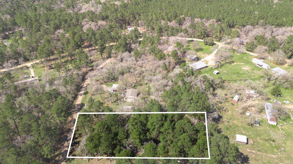 Plantersville, TX 77363,N/A Blue Lake DR